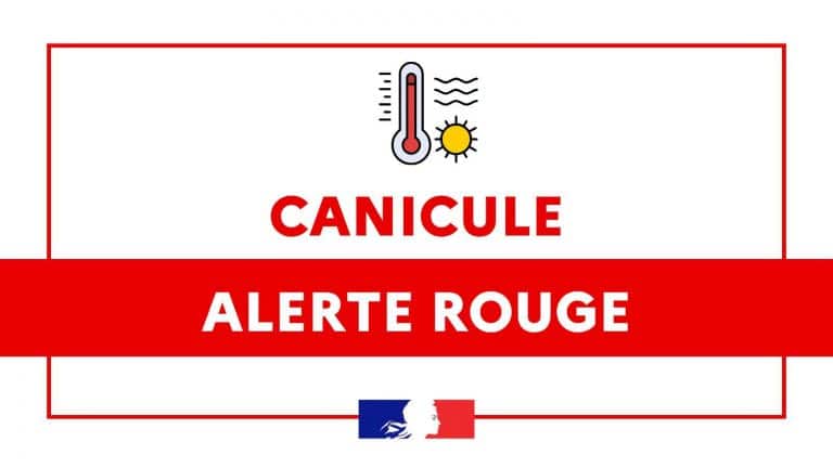 Canicule 2026 : comment protéger votre logement quand il fait 40°C