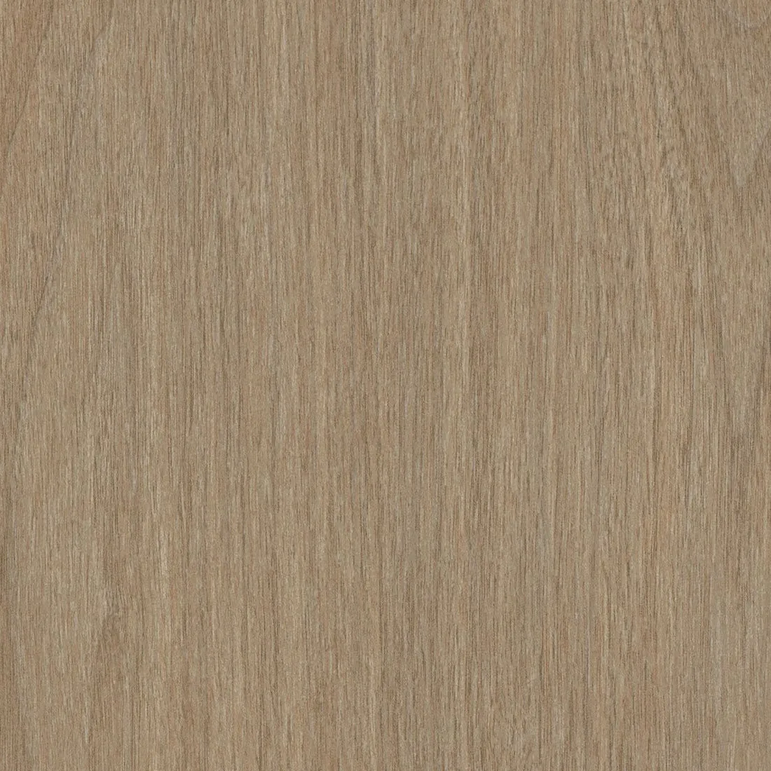 CS AF08 Hazy Walnut : contrôles réalisés