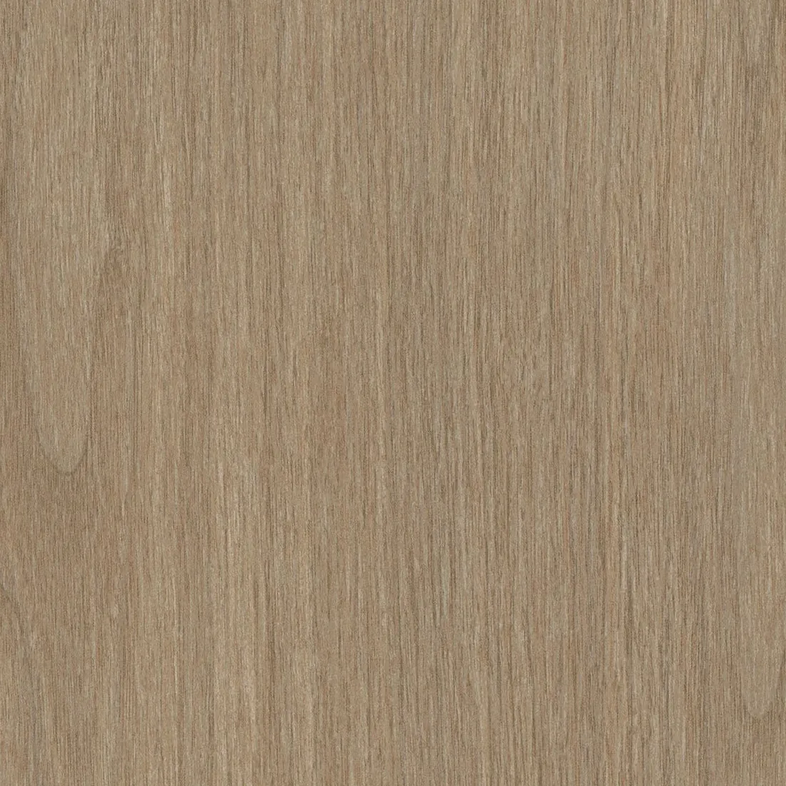 CS AF08 Hazy Walnut : tenue dans le temps