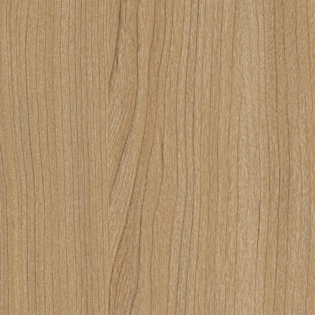 CS AL14 Traditional Oak : tenue dans le temps
