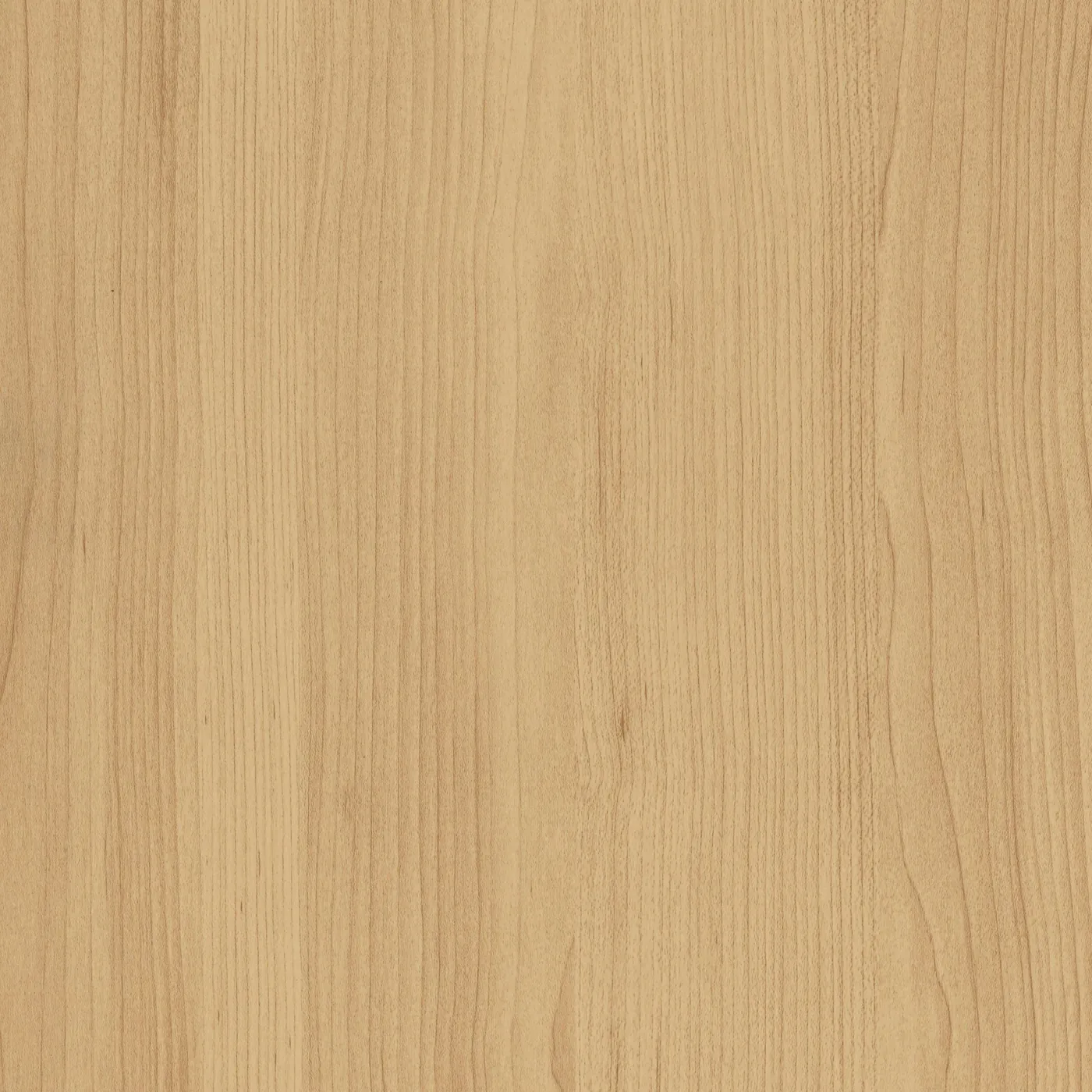CS B3 Natural Maple, revêtement adhésif bois