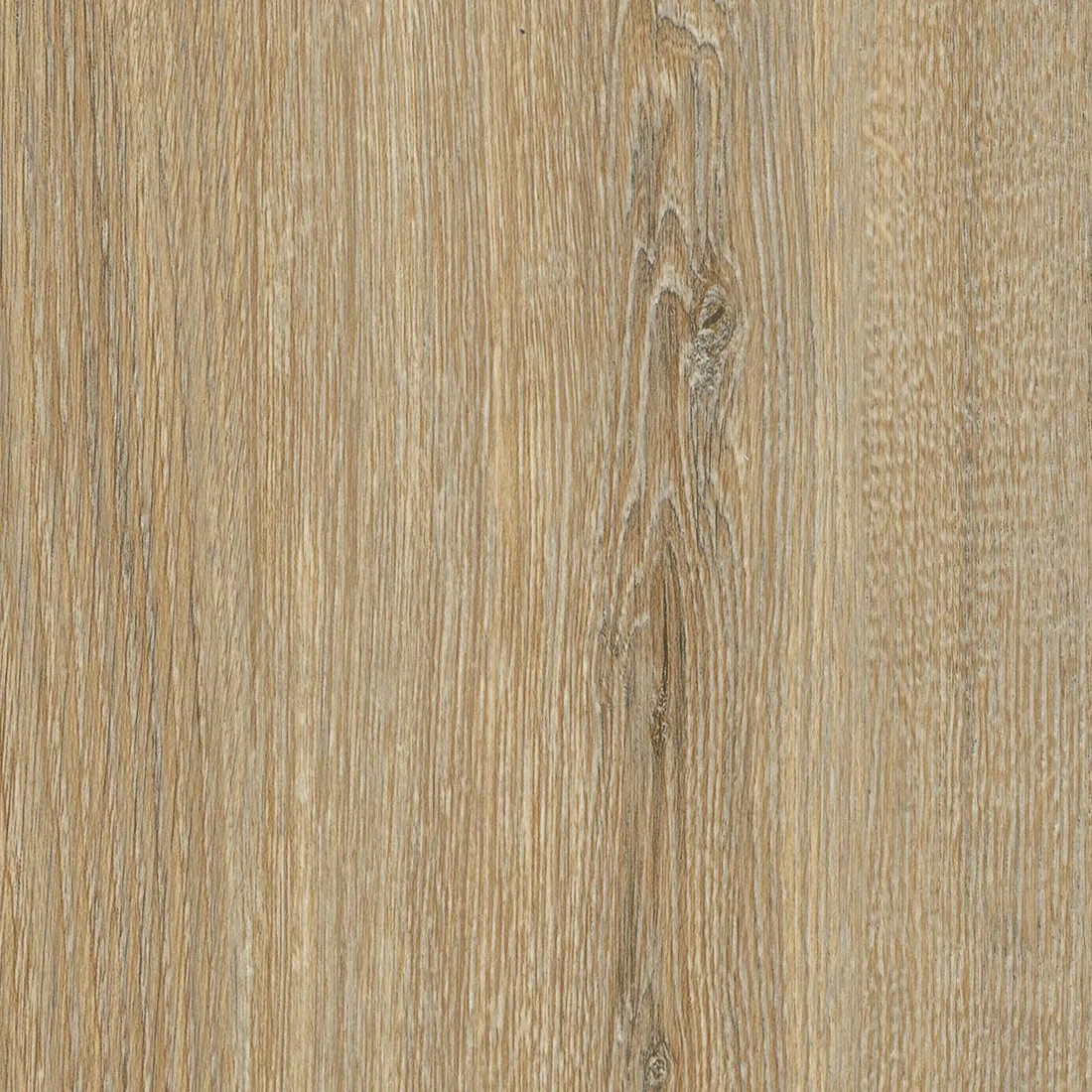 CS CT82 Bumpy Oak : tenue dans le temps