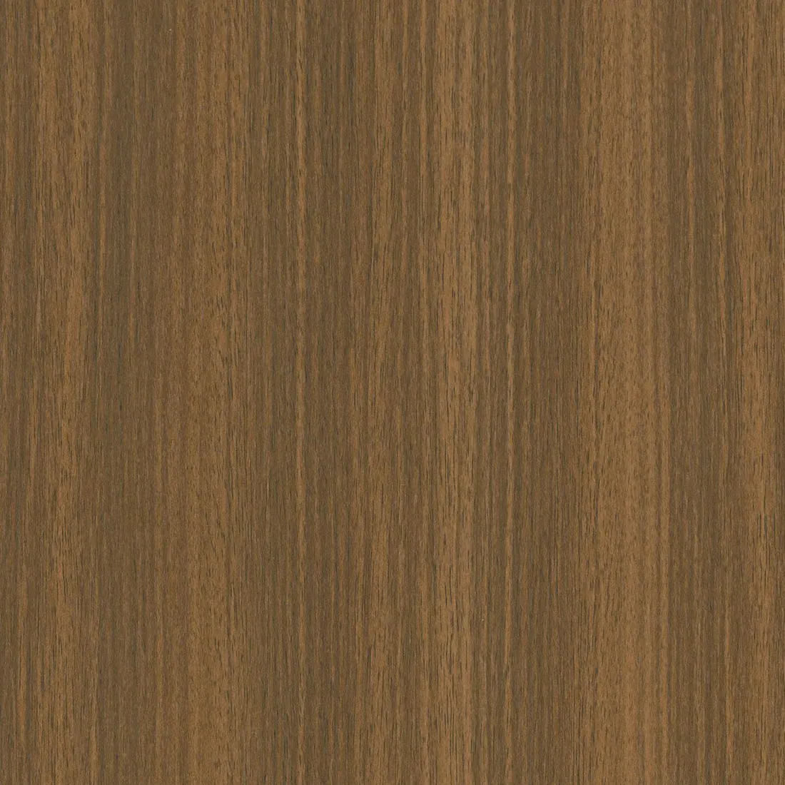CS E4 English Walnut : contrôles réalisés