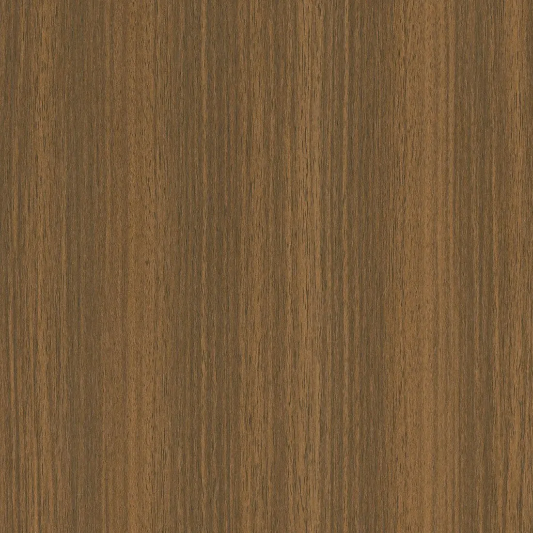 CS E4 English Walnut : tenue dans le temps