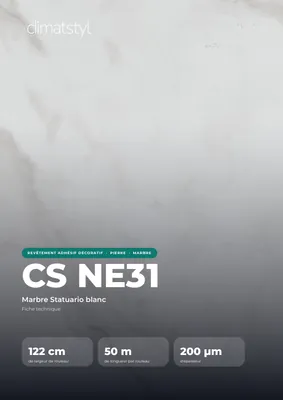 Couverture de la fiche technique CS NE31 Statuary White