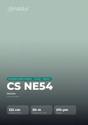 Couverture de la fiche technique CS NE54 Mint