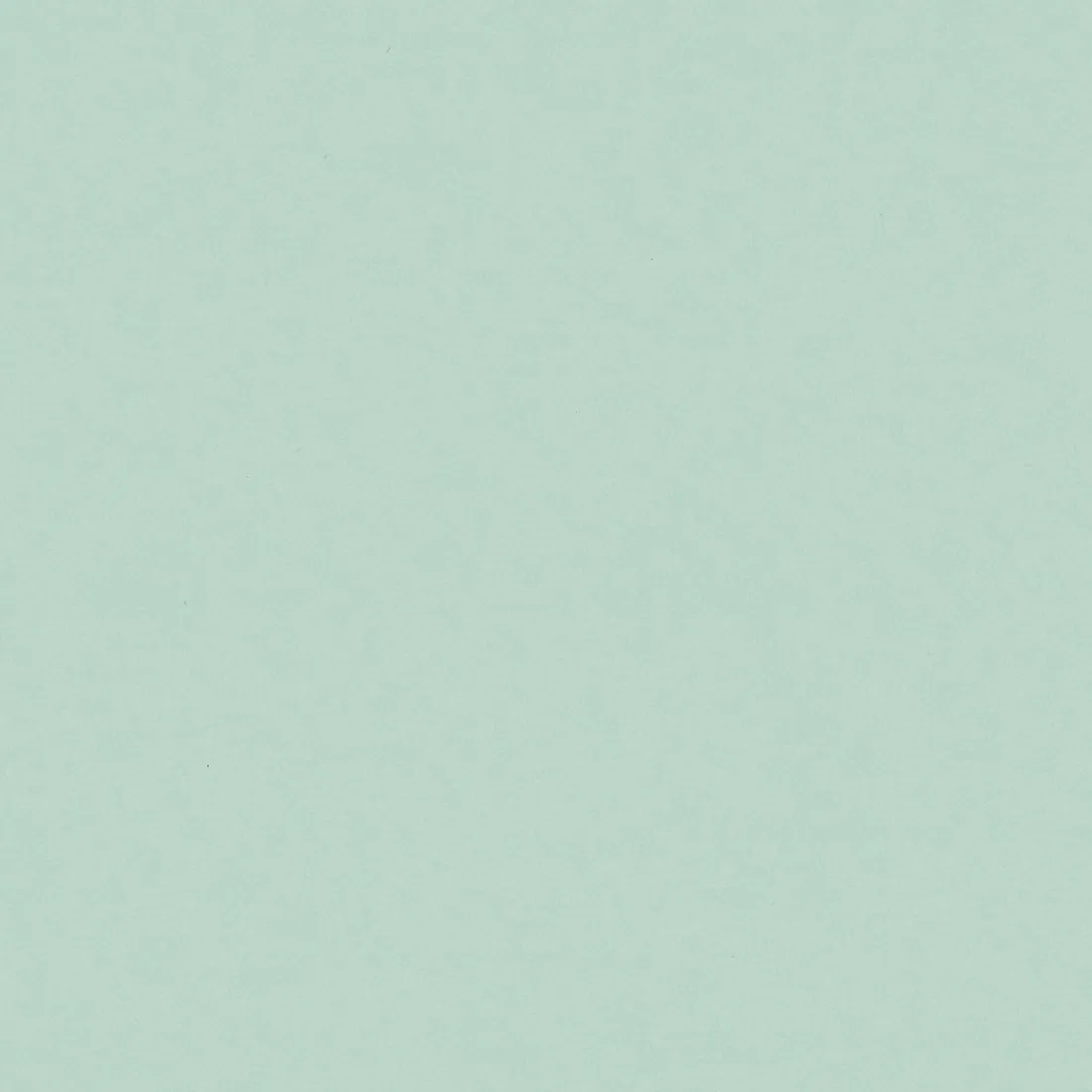 CS NE54 Mint : tenue dans le temps