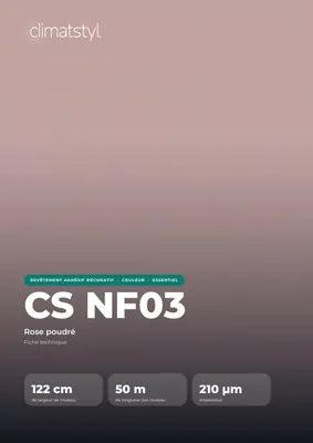Couverture de la fiche technique CS NF03