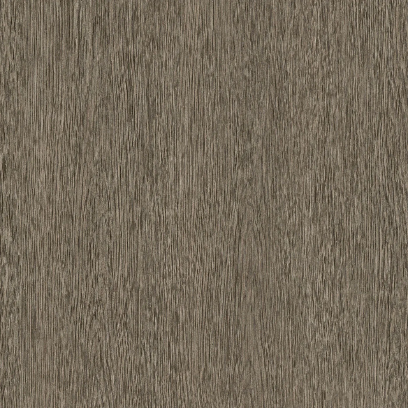 CS NF28 Grayish Oak, revêtement adhésif bois