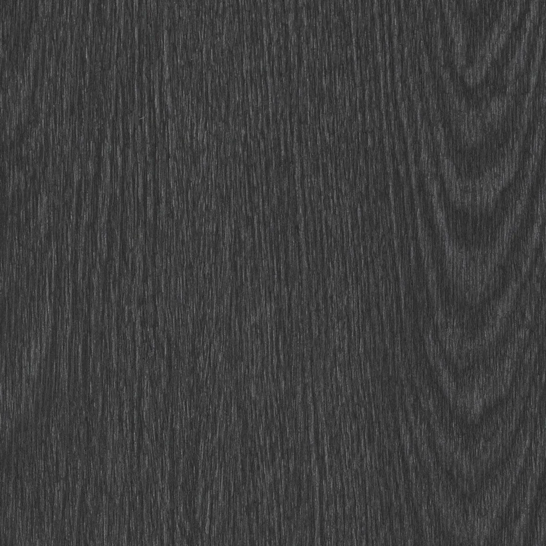 CS NF60 Silver Oak : contrôles réalisés