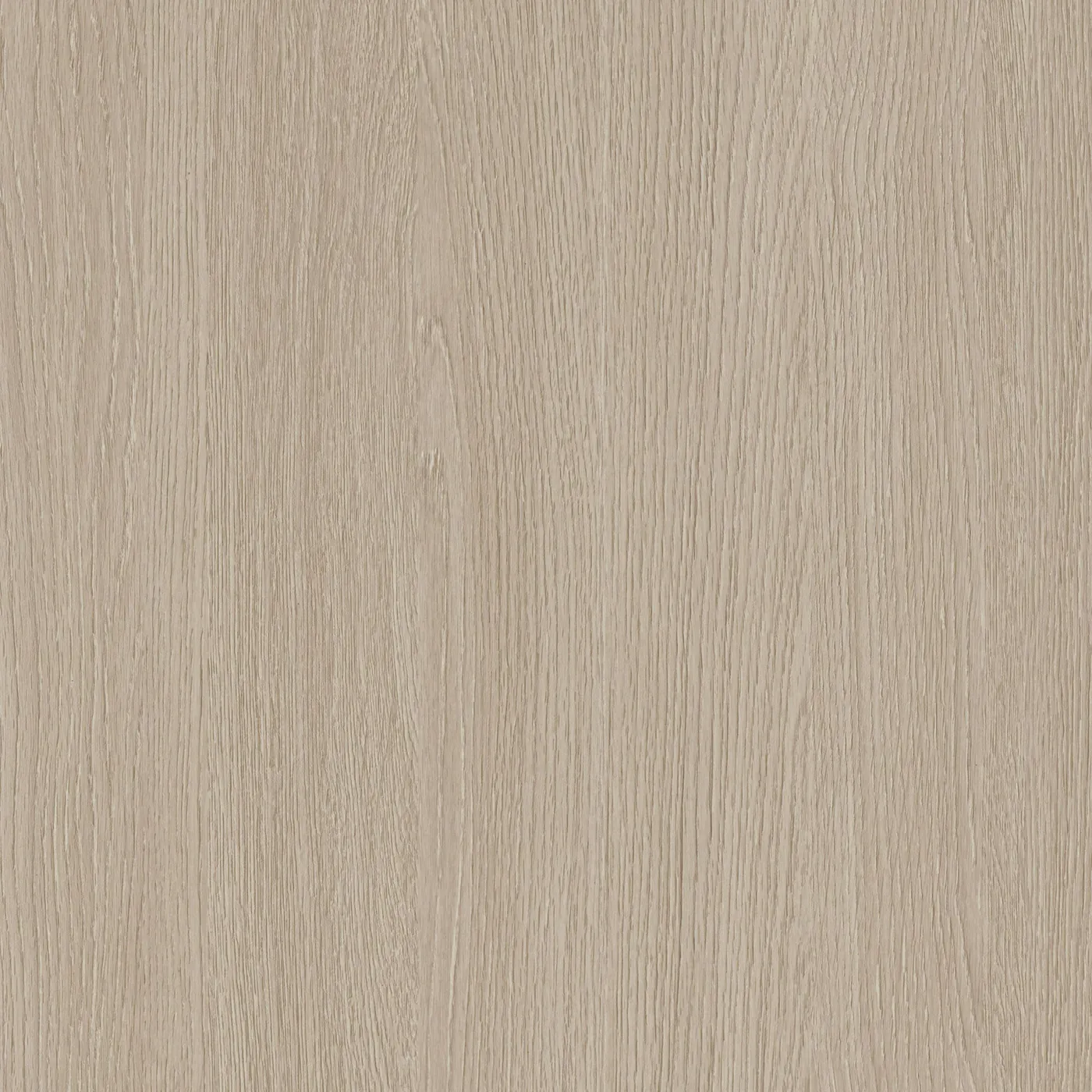 CS NF73 Desert Birch, revêtement adhésif bois