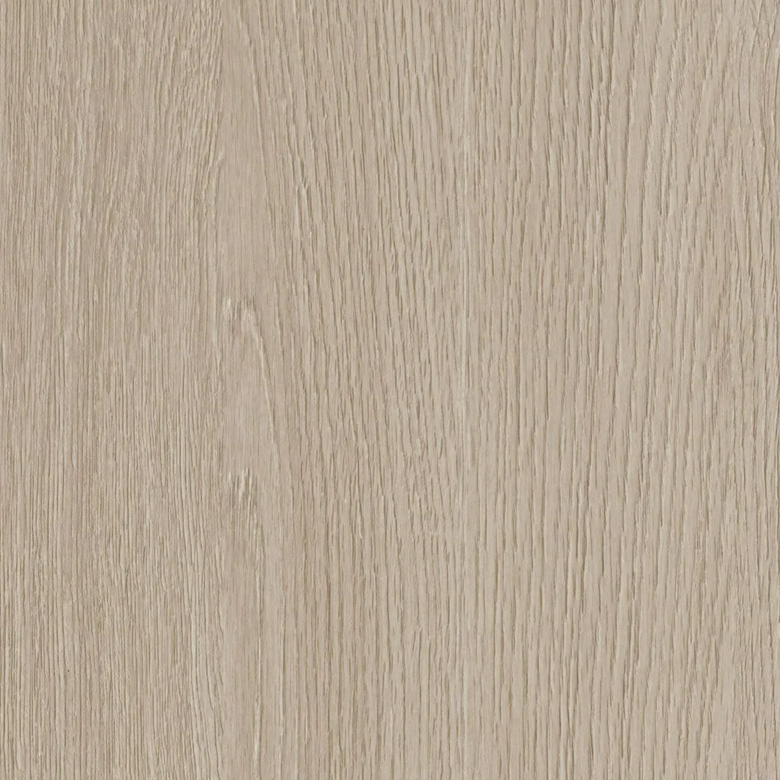 CS NF73 Desert Birch : contrôles réalisés