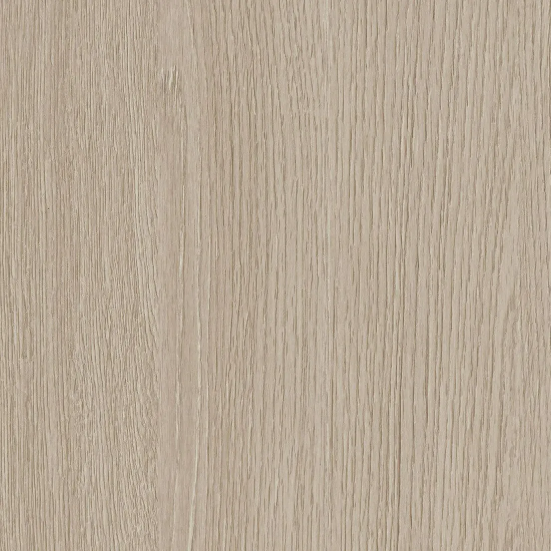 CS NF73 Desert Birch : tenue dans le temps