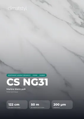 Couverture de la fiche technique CS NG31