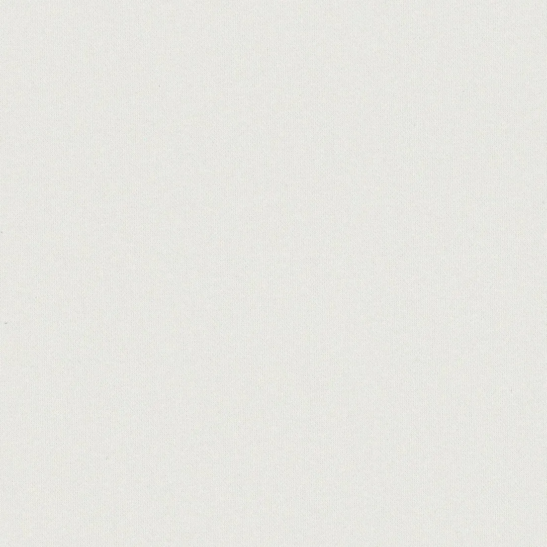 CS NK70 Canvas White : contrôles réalisés
