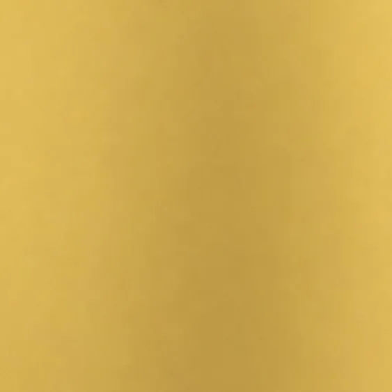 CS NL2 Mirror Gold : tenue dans le temps