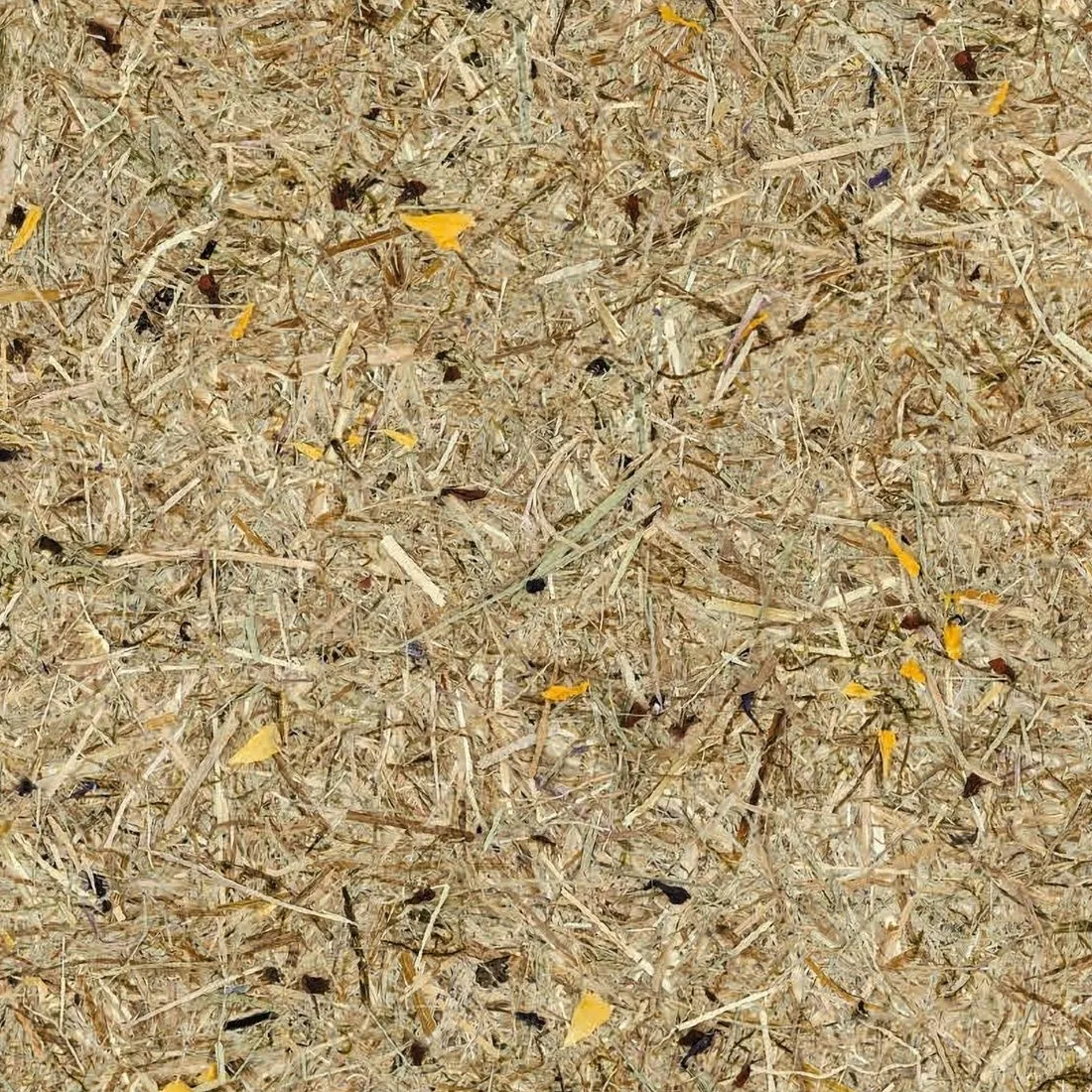 CS NL37 Iris : contrôles réalisés