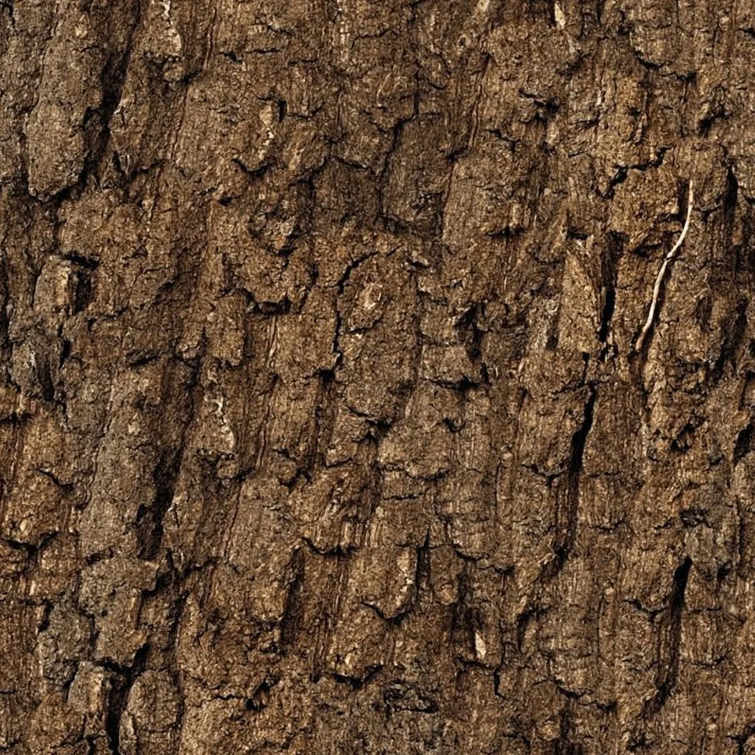 CS NL43 Bark : contrôles réalisés