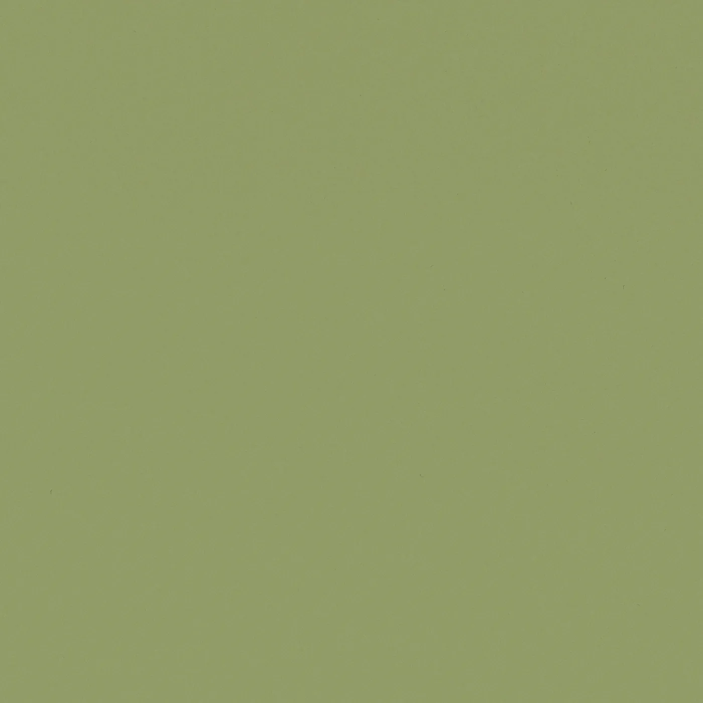 CS RM19 Olive, revêtement adhésif couleur