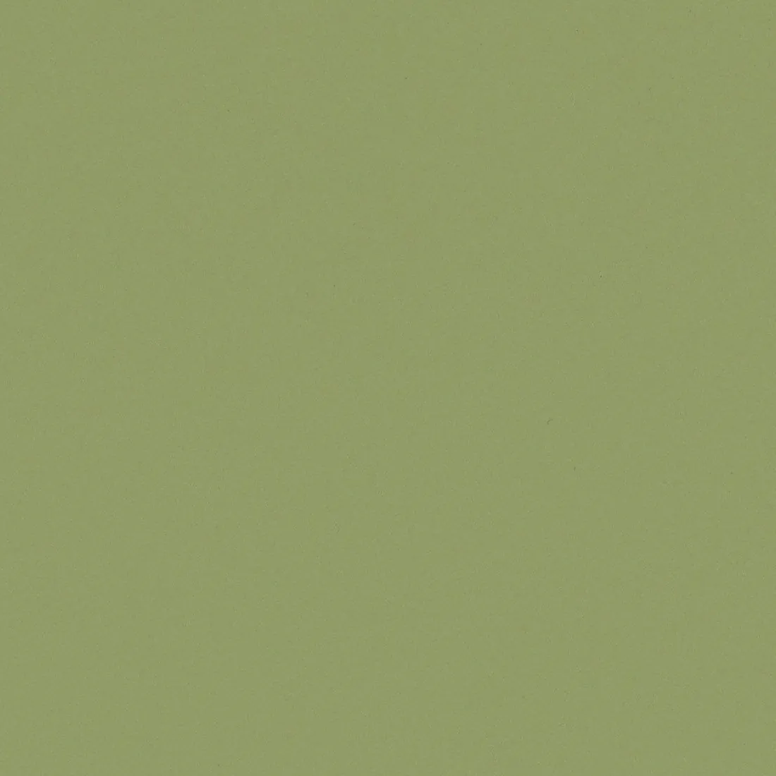 CS RM19 Olive : contrôles réalisés