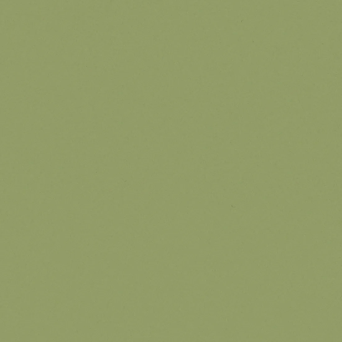 CS RM19 Olive : tenue dans le temps